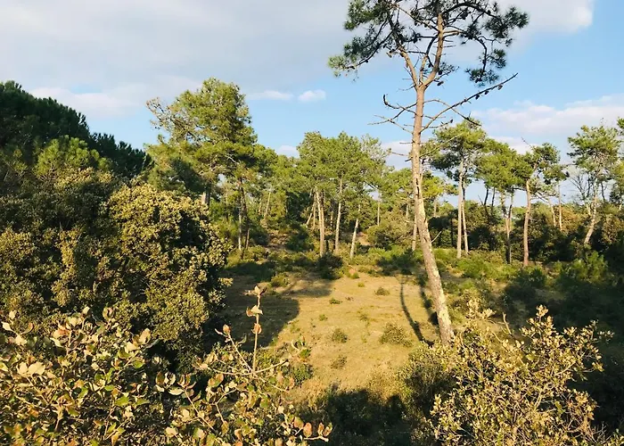 Maison Familiale Du Devallon 생장드몽